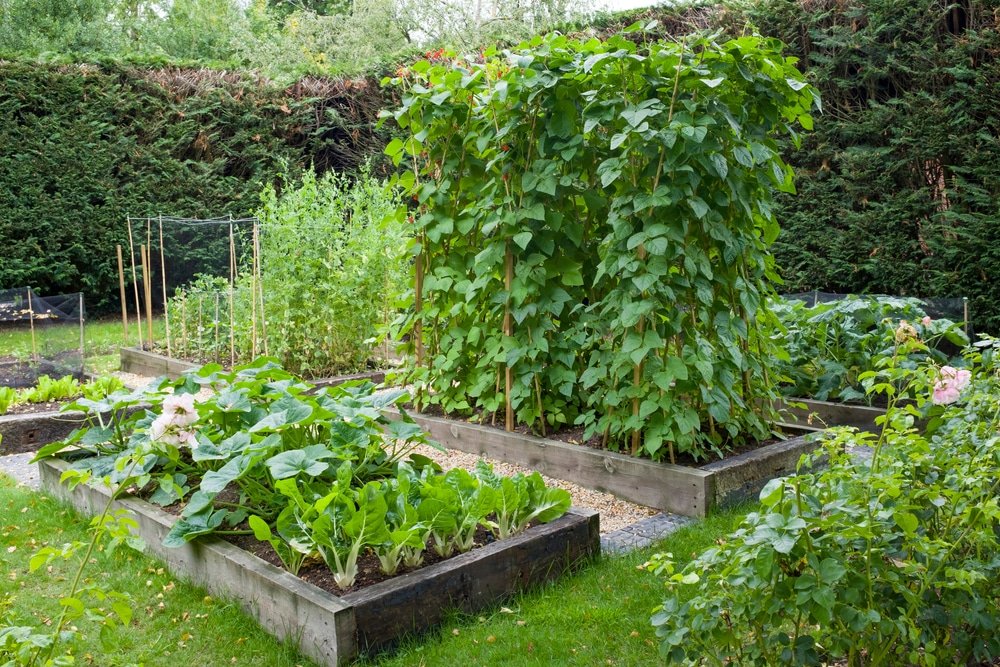 Vegetable,Patch,With,Raised,Beds,In,A,Large,English,Garden,