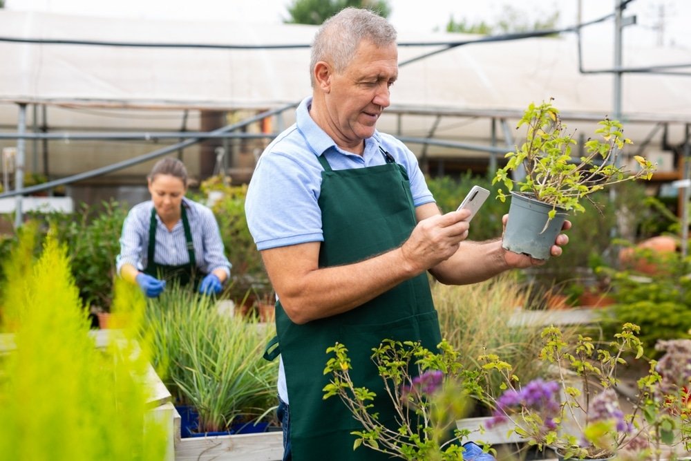 Experienced,Gardener,Of,The,Flower,Farm,Photographs,Flowers,On,A